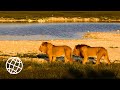 Etosha National Park, Namibia in 4K Ultra HD