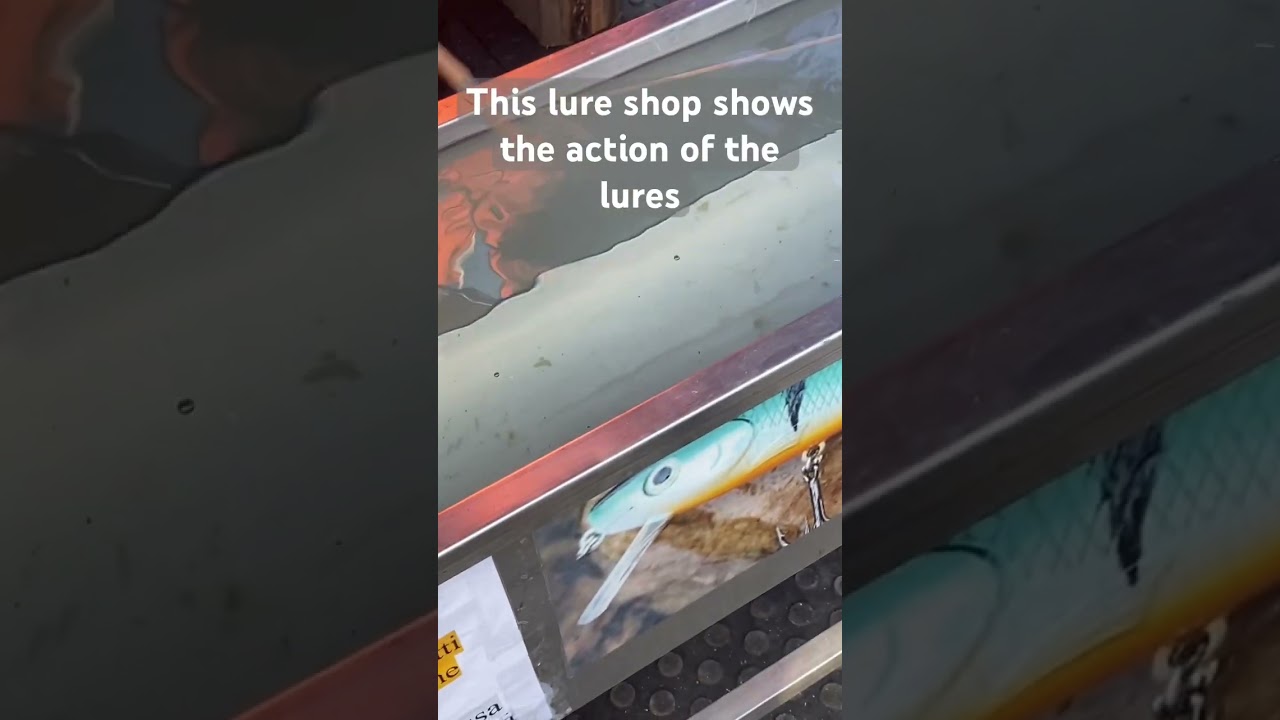 LET ME SEE THE ACTION 