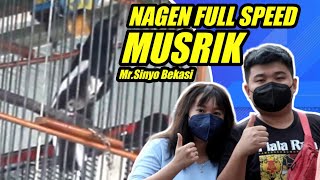 🔴 KACER NAGEN | KACER SPEED RAPAT | KACER MUSRIK Mr.Sinyo Bekasi