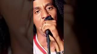 Tego Calderon, Goyo - Pa Que Se Lo Gozen (Remix)