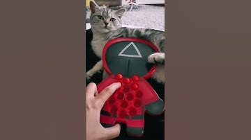 Pop it #asmr Fidget Toys | Squid game #shorts