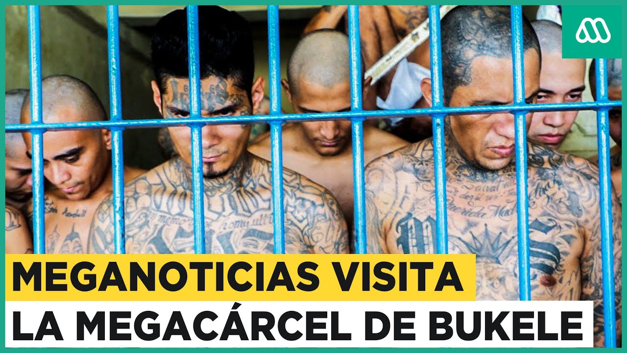 La cacería de las maras: ¿Están en Chile miembros de la peligrosa organización criminal salvadoreña?