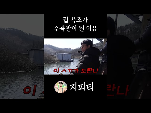 집에 수족관이 필요 없던 이유