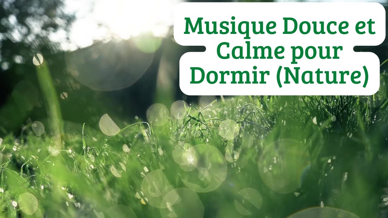 Musique Détente et Relaxation (Nature) - YouTube