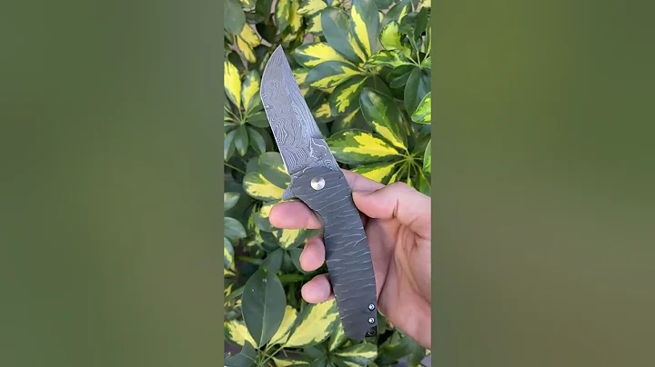 Matthew Christenson Dreadnaught Custom Knife From ...