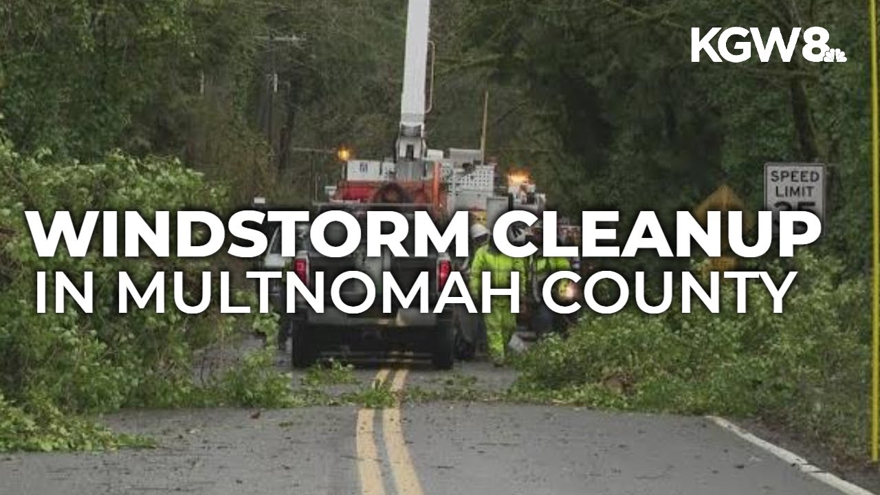 Portland metro area cleaning up after windstorm downs trees, power ...