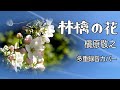 林檎の花 槇原敬之  多重録音カバー