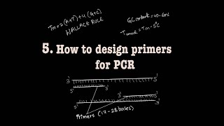 How to design primers for PCR