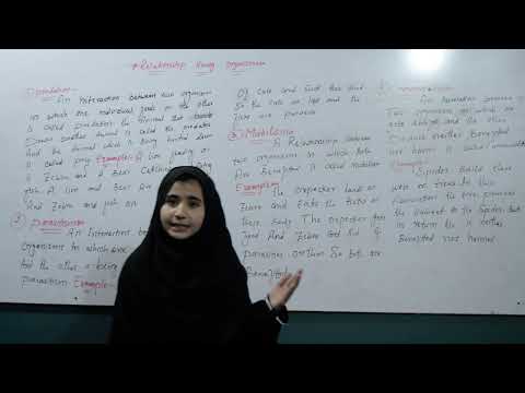 Relationship among organism