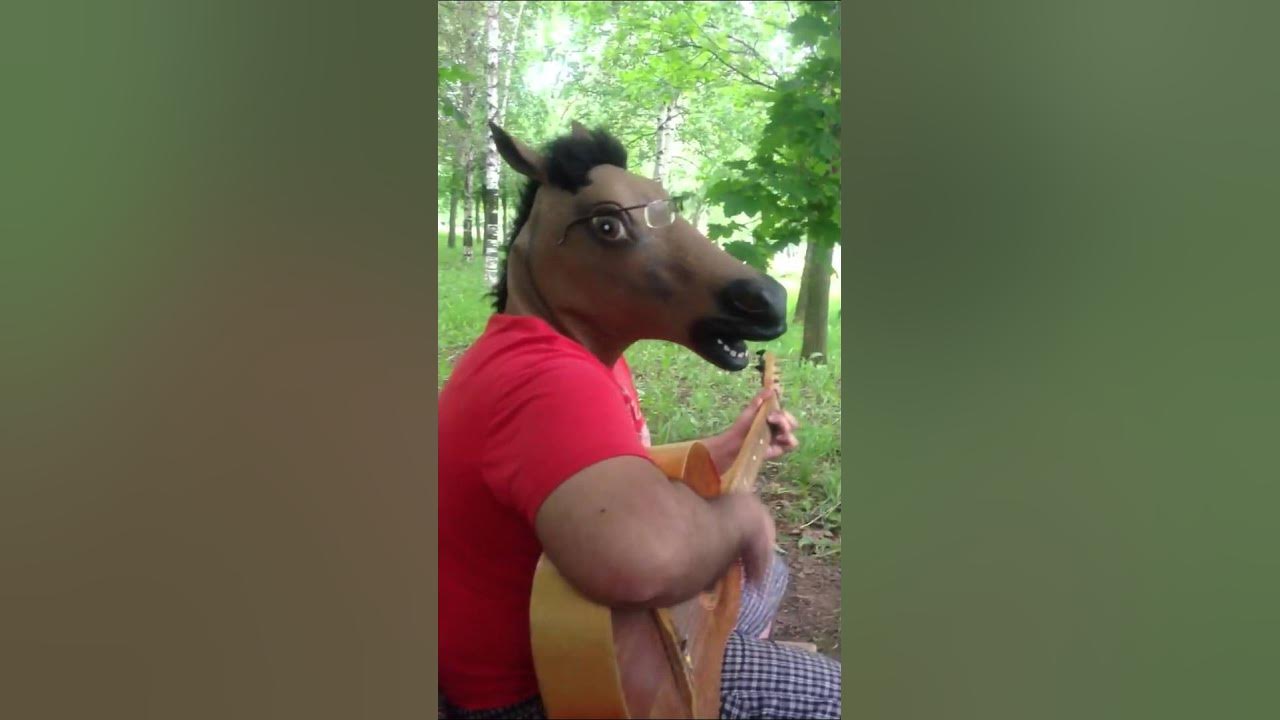 На коня слушать. На коня слушать
