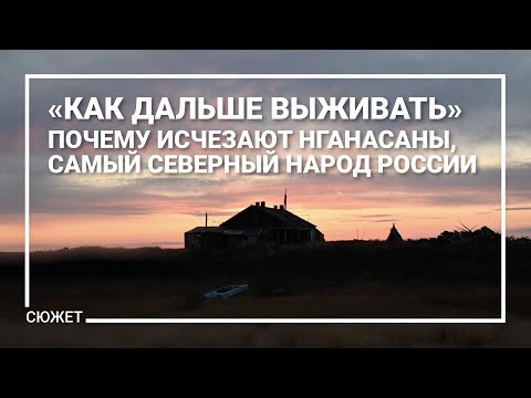 «Как дальше выживать». Почему исчезают нганасаны, самый северный народ России