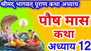 पौष मास कथा अध्याय 12 |Paush Maas Ki Katha Day12 |Paush Maas mahatmya |श्रीमद भागवत पुराण अध्याय 12