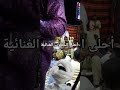 تبريحة من عند سي مولاي يا من هواه أعزه وأذلني