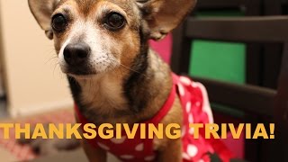 Thanksgiving Trivia!