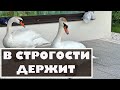 Почему у нее скверный характер?