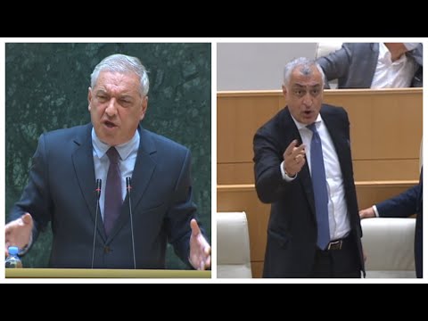 დაჯექი ერთი, თუ ძმა ხარ, ნუ ყვირიხარ რააა- ვოლსკი ხაზარაძეს - ხმაური პარლამენტში