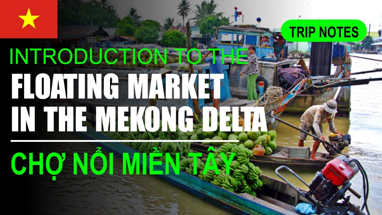 Vietnam Travel Guide: The Floating Market in the Mekong Delta (Chợ nổi miền Tây) 