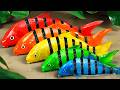 Stop Motion ASMR - Koi Fish Hunting Pink Catfish | Colorful Koi Fish | Primitive Cooking Experiment