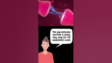 Fun Facts About Brain Cells #waitforit