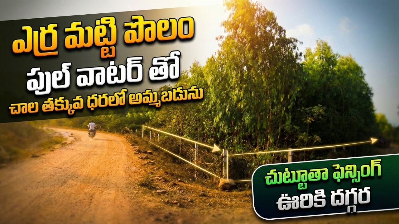 🌿 ఎర్రమట్టి ఫుల్ వాటర్ వ్యవసాయ భూమి |  Near Chilakaluripeta| EstateGuruAman