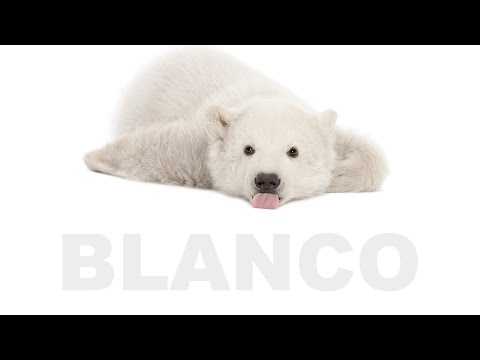 Blanco, aprende los colores, canción de colores