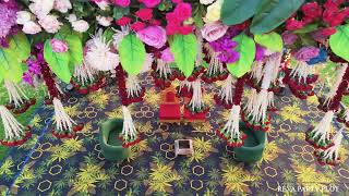 Reva farm 2025 to 2026