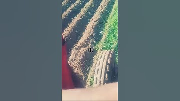 SarvaShakthi Rotavator company ridger working performance video #SARVASHAKTHI #rotavetor #viral