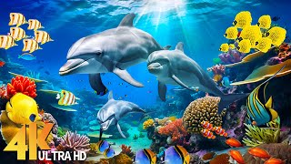 Ocean Reef 4K Video (ULTRA HD)  Beautiful Coral Reef Fish In Aquarium  Relaxing Nature Sounds #7