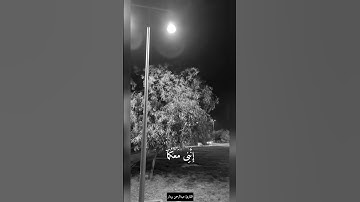 قَالَ لَا تَخَافَآ ۖ إِنَّنِى مَعَكُمَآ أَسْمَعُ وَأَرَىٰ - القارئ عبدالرحمن بودار