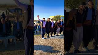 Süper Halaylarımız 1 Yöresel