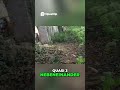 Traum Bauernhof  Platz, Tiere &amp; Leben auf dem Land