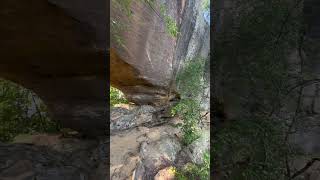 #shorts #redrivergorge #skybridge #hiking #nature #backpacking