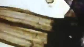 PATLAC - SOULSHINE / 60HERTZ