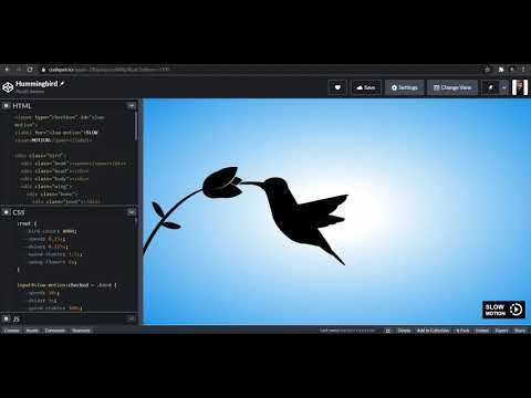 Humming Bird Slow Motion effect using CSS #youtubeshorts