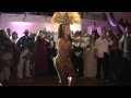 Surprise Samba Dancers, Capoeira @ wedding