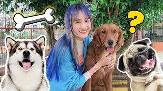 Khám Phá Vương Quốc Loài Chó - Vê Vê Channel screenshot 2