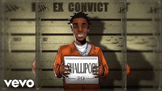 Shallipopi - Ex Convict (Official Audio)