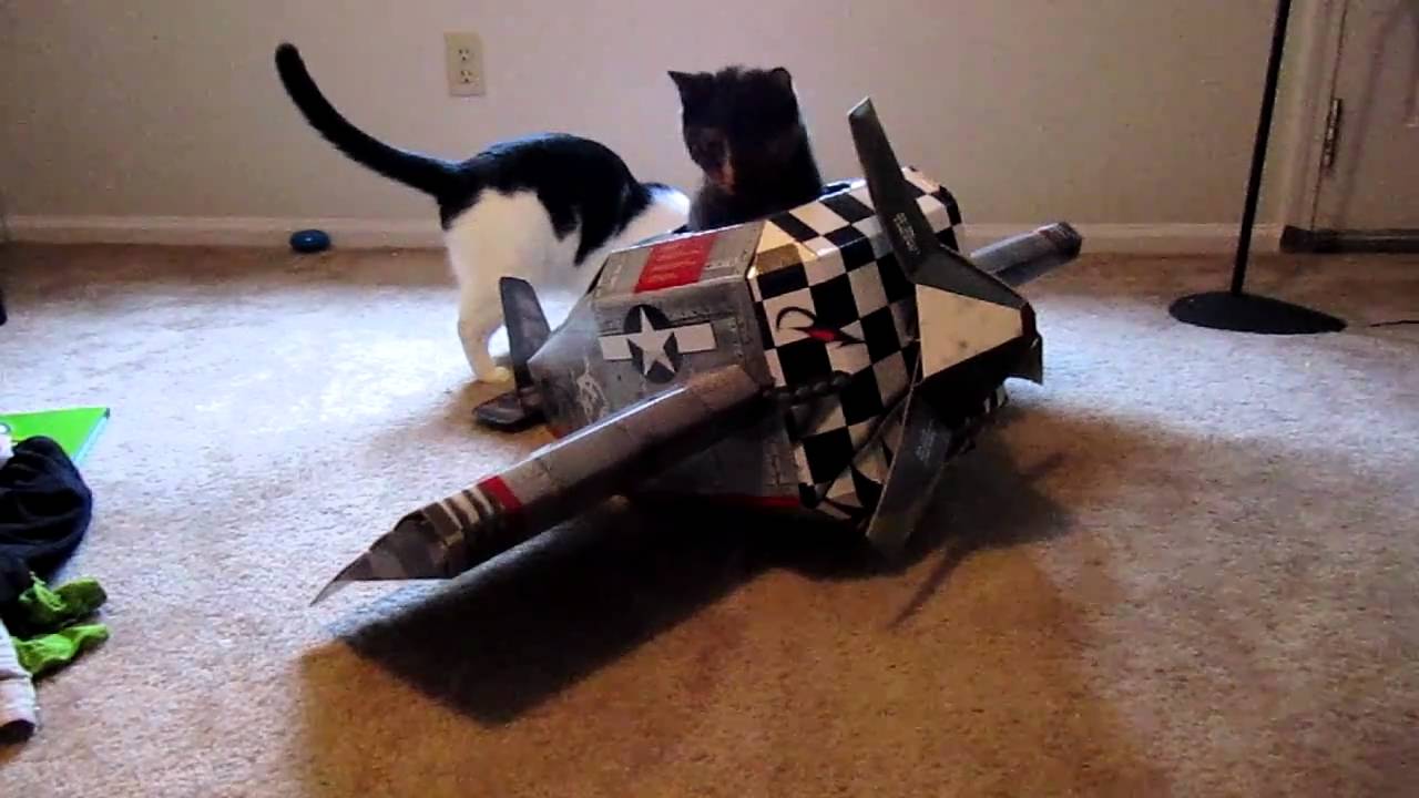  Cat Plane  Playhouse YouTube