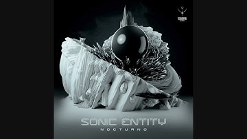 Sonic Entity - Nocturno