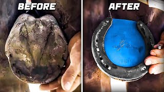 Horse Hoof Deep Clean and Restoration [Beautiful Results]