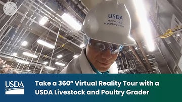 Take a 360° Virtual Reality Tour with a USDA L&P Poultry Grader