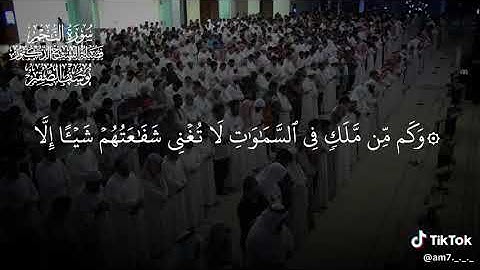 قران كريم بصوت جميل جدا بصوت القارئ يوسف الصقير سورة النجم 📚🍃🌱