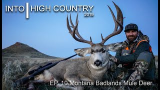 Montana Badlands Mule Deer
