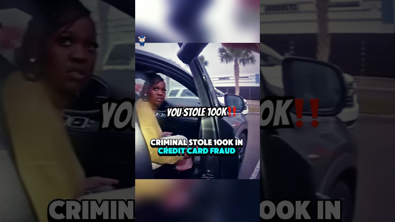Criminal steals 100k inn Credit card fraud 😳