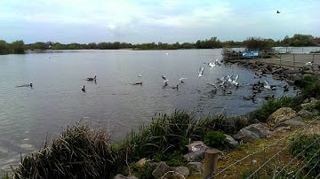 HTC One M7 Video Sample