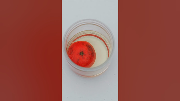 Plonger une CLÉMENTINE dans de l'ACIDE 🧪