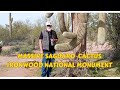 SCENIC TOUR - IRONWOOD NATIONAL MONUMENT with Desert Adventures in Arizona