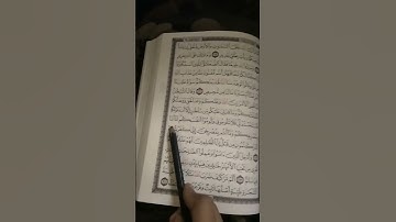 سورة ابراهيم ٢٥٥❤