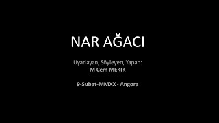 Nar Ağaci - Grenadine