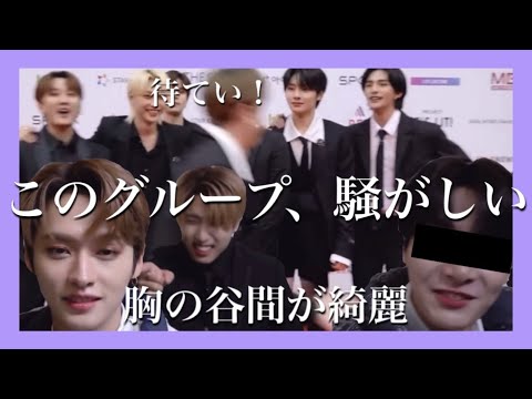 スキズって騒がしい【STRAYKIDS/日本語字幕】